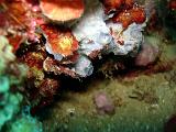 2010-09-12 13-25-45 Steven